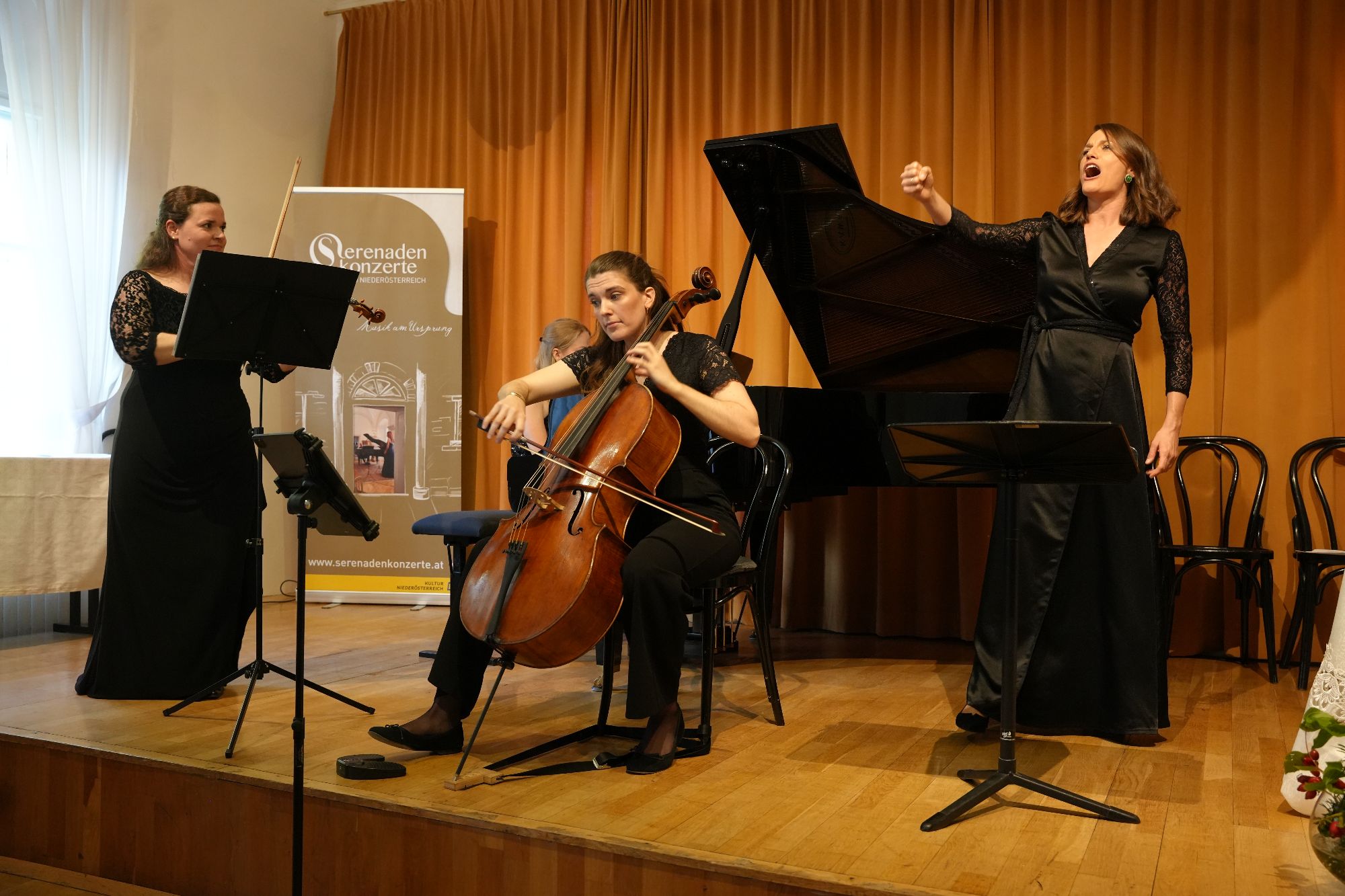 Beethoven-Serenade in Baden
